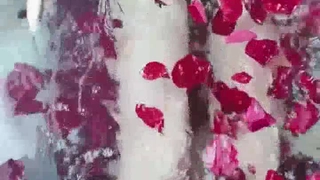 加勒比PPV动画123115-462鬼电击棒~碧しの