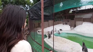 大奶子足疗熟女（有手势验证）