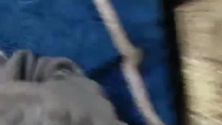 清纯系美少女近期下海！大尺度道具自慰！多毛骚逼拍打，振动棒磨蹭插入，爽的忍不住娇喘